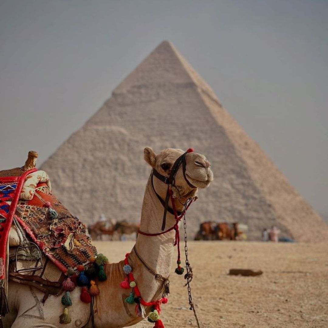 В Египте могут почти вдвое повысить стоимость туристической визы