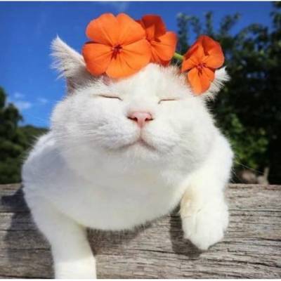 Наталина, 49