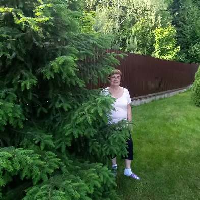 Попутчик Алевтина