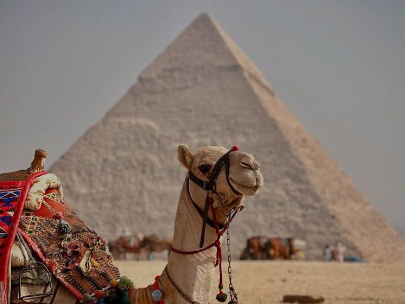 Новости дня